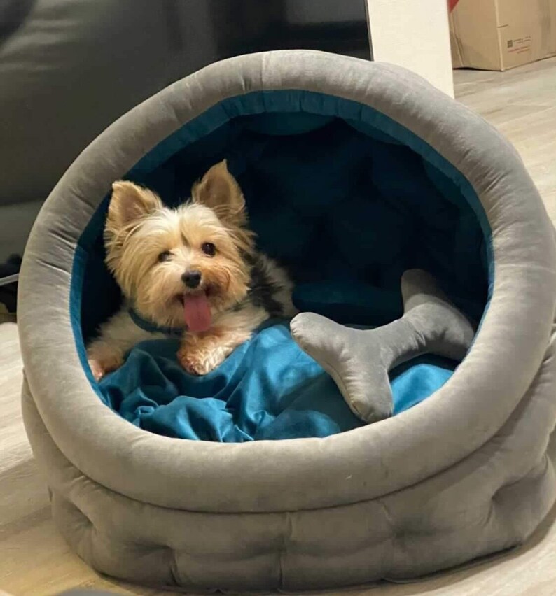 Dog Bed Velvet Dog Bed Custom Dog Bed Dog Sofa Pet Bed Etsy