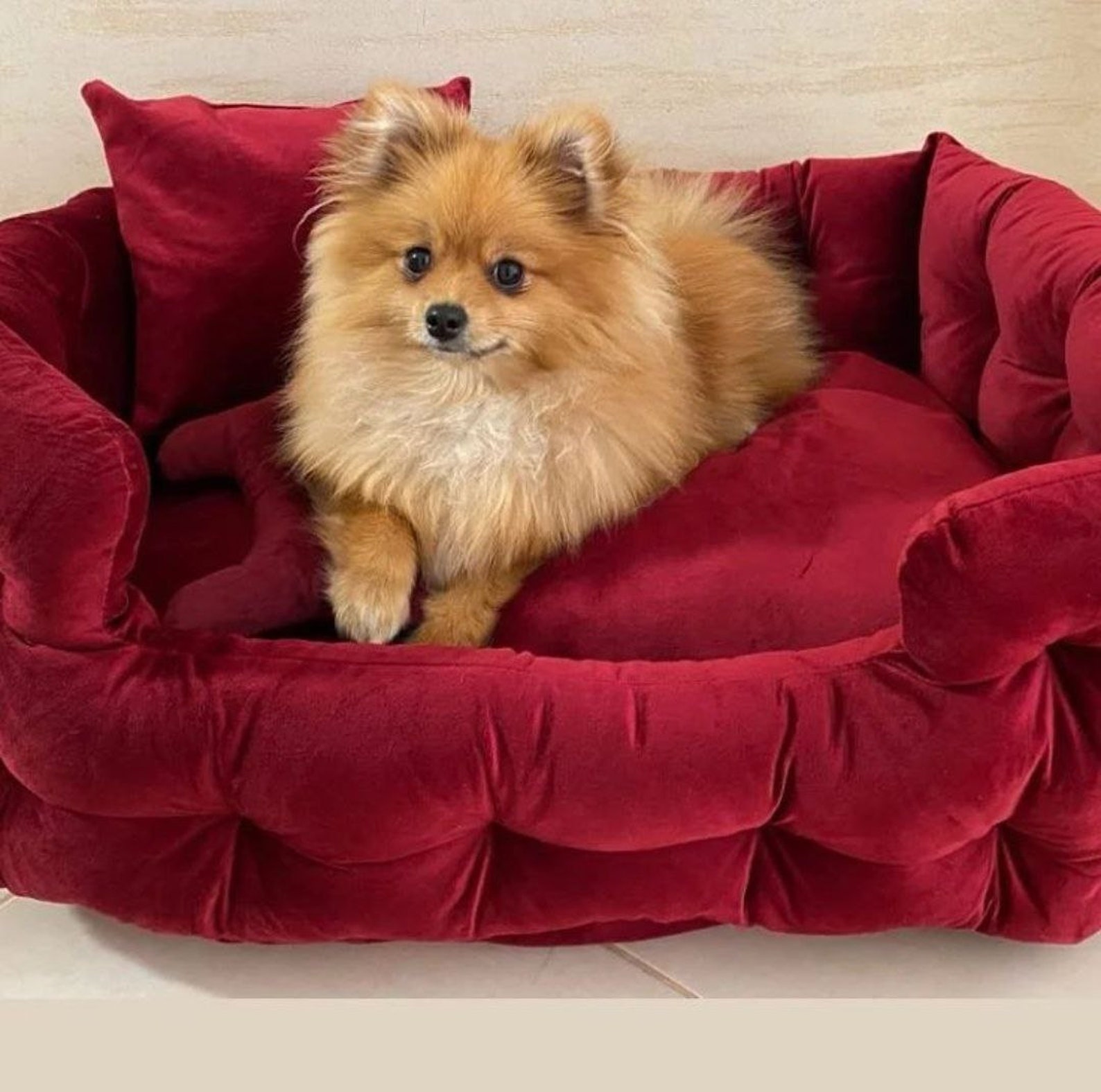 Dog Bed Large Dog Bed Extra Large Dog Bed Velvet Dog Bed Etsy