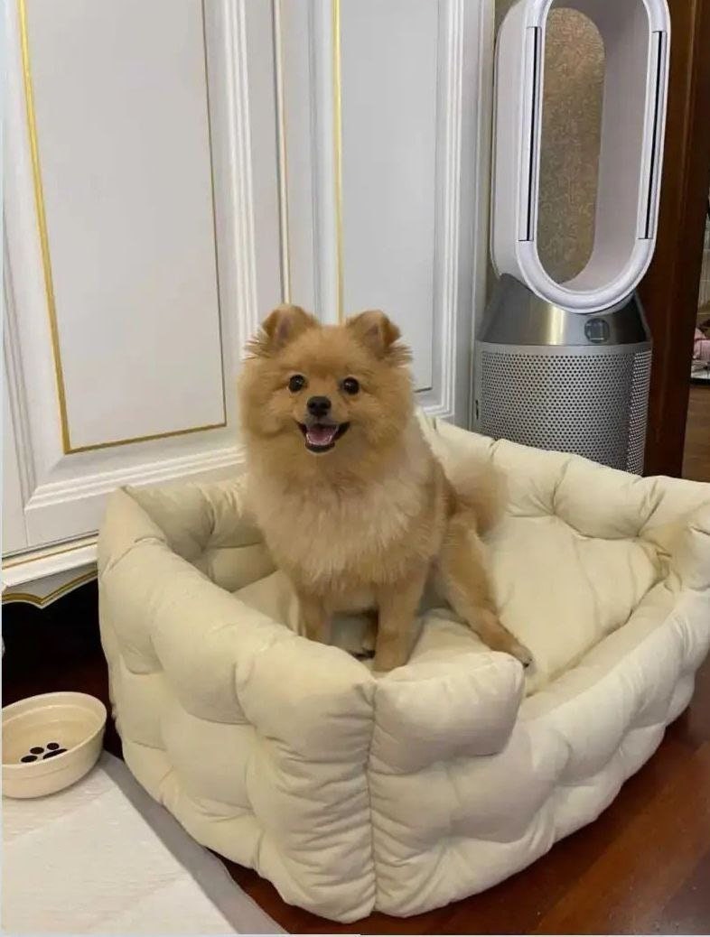 Dog Bed Large Dog Bed Extra Large Dog Bed Velvet Dog Bed Etsy Australia