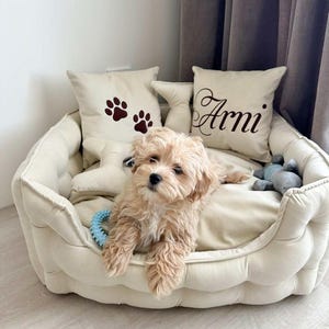Dog bed, Large dog bed, Extra large dog bed, Velvet dog bed, Custom dog bed, Dog sofa, Pet bed, Luxury dog bed, image 5