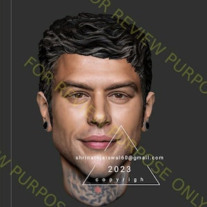 Custom 3D faces and bust from 2D picture.(Stl, obj, etc)