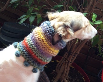 Rainbow - Snood for dog wool with pompoms