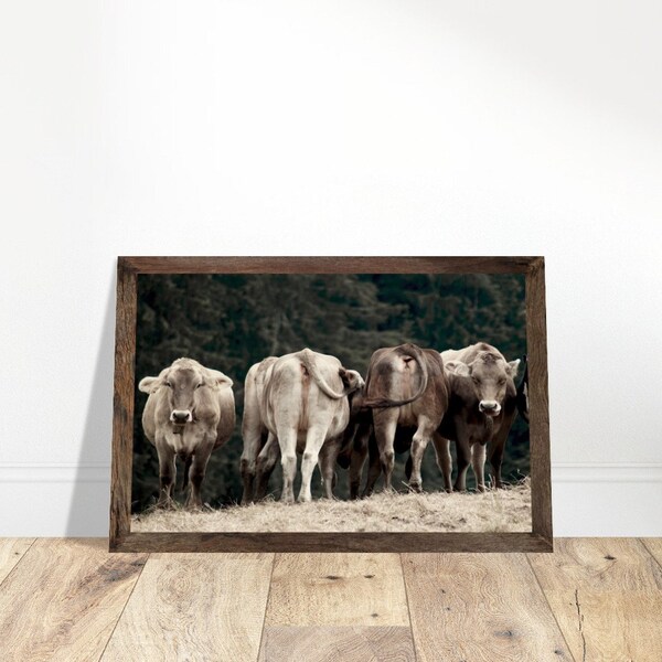 Photo wood print, cows in the pasture, herd of cows close-up