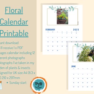Floral Calendar 2023 wall calendar planner printable PDF instant digital download nature calendar, insect calendar, flower calendar 2023