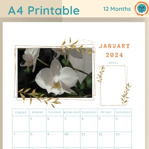 Floral Calendar 2024 wall calendar planner printable PDF download calendar flower calendar 2024 monthly calendar nature calendar A4