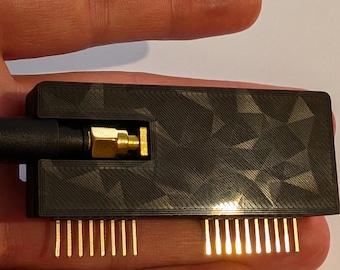 Case for CC1101 SubGhz External SubGhz Module