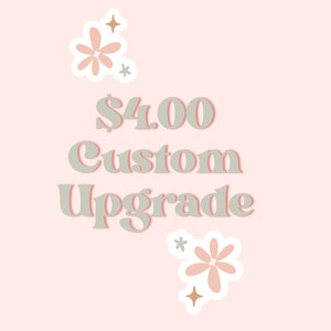 4.00 Custom Upgrade