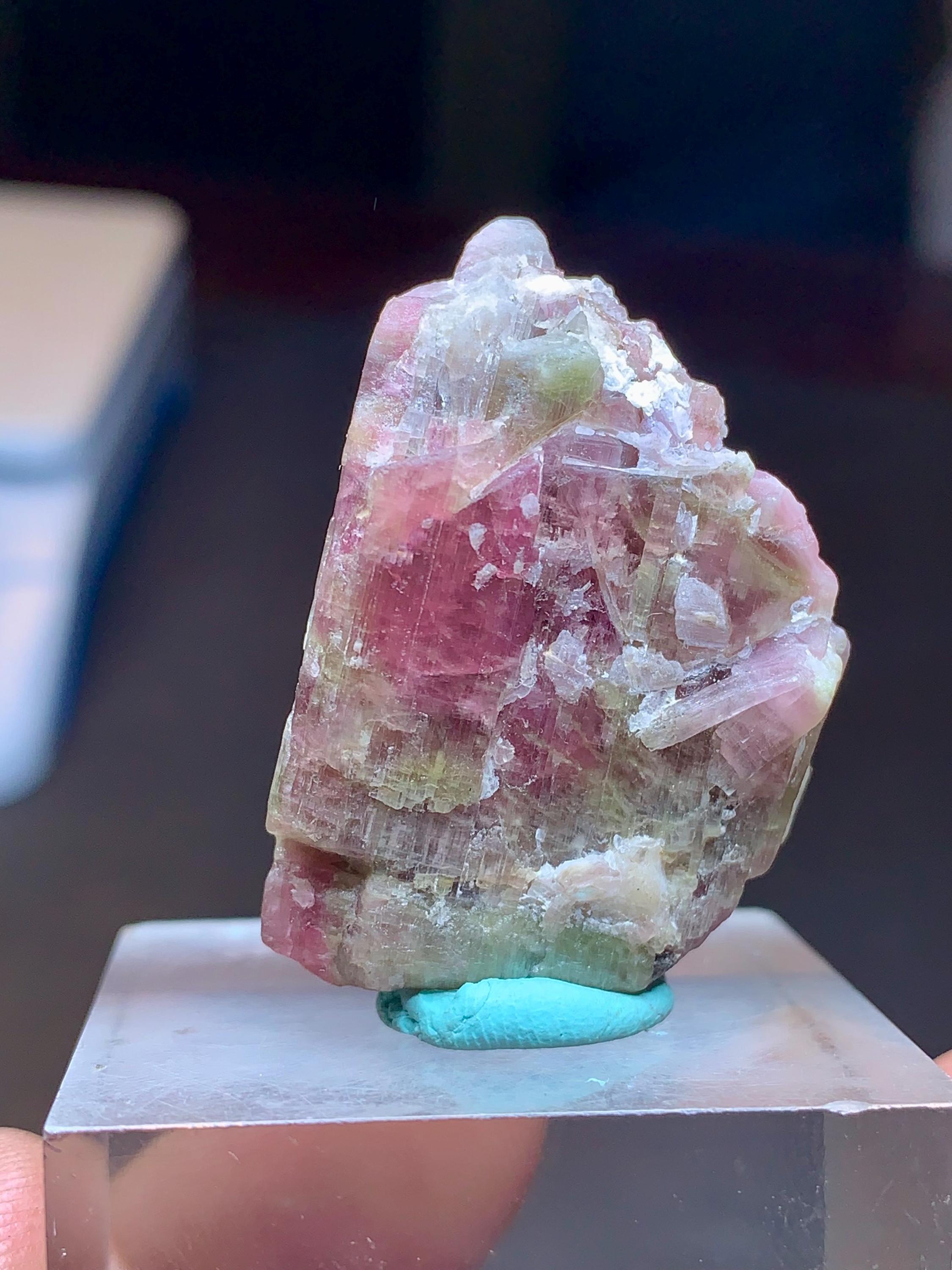 ウォーターメロントルマリン結晶コレクショングレード標本、バイカラー