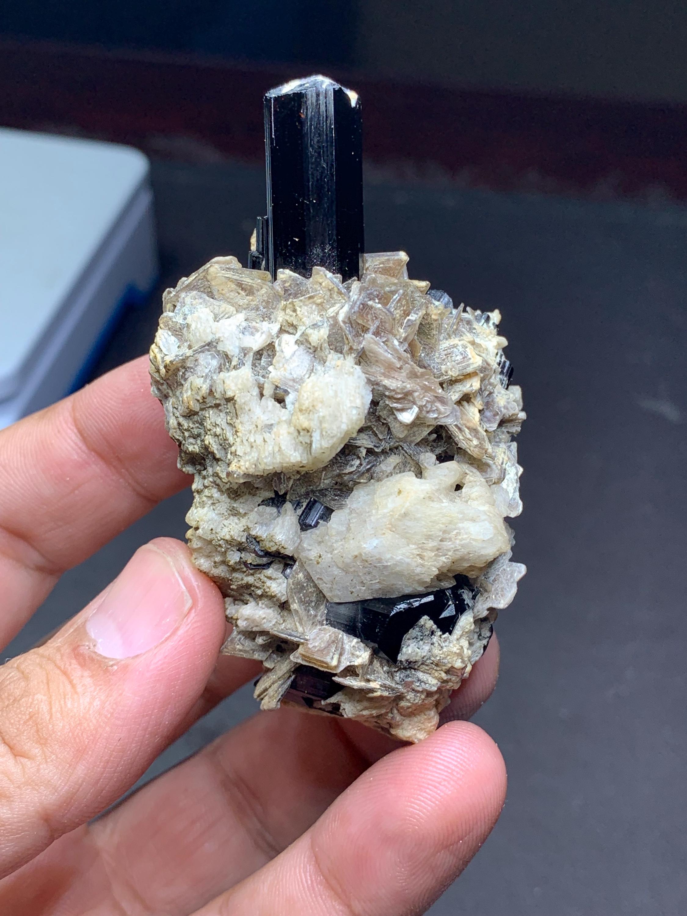 長石母岩上の黒トルマリン結晶：パキスタン・スカルドゥ産、標本2点