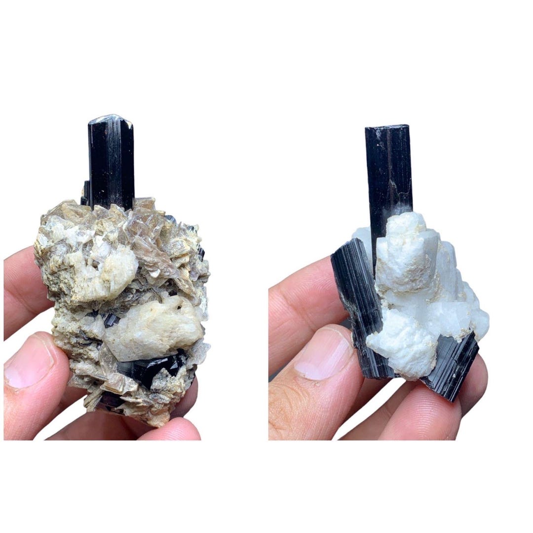 長石母岩上の黒トルマリン結晶：パキスタン・スカルドゥ産、標本2点