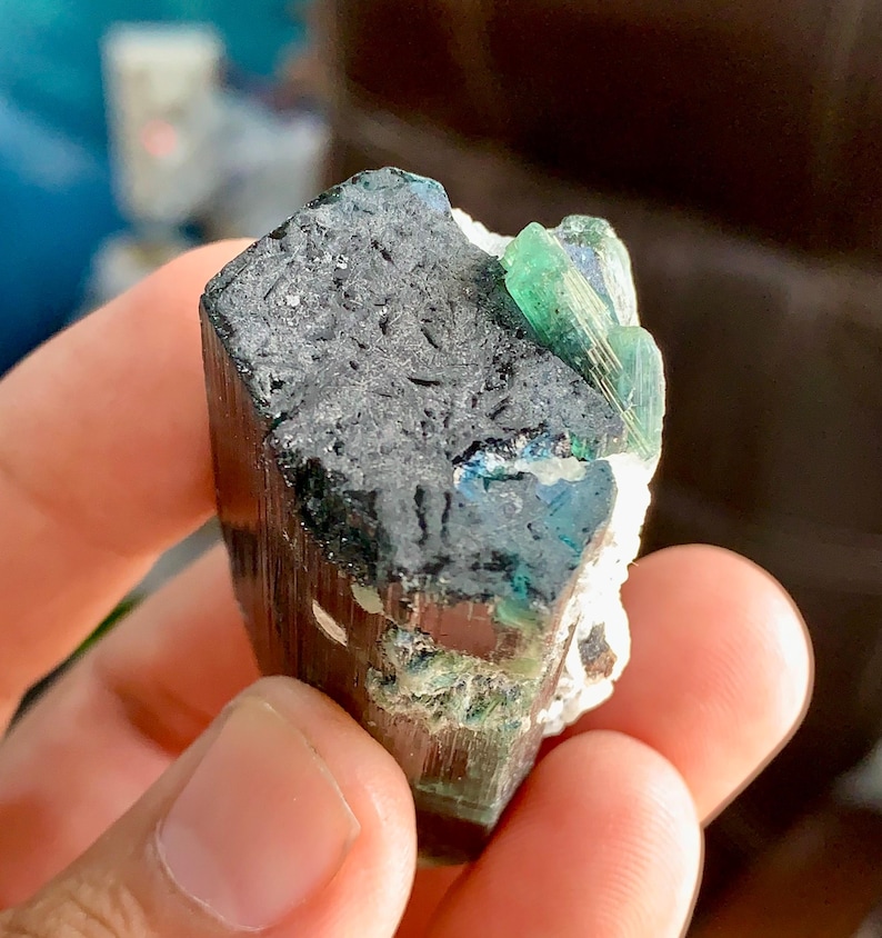 Indikolitblå turmalinkristaller: Terminerad sats, ursprung i Afghanistan, blå kapsylturmalinterminerade kristaller kombinerar tantalitkristaller bild 8
