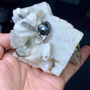 Svart turmalin glänsande kristall på fältspat stort exemplar, Schorl på matris, Samlingsklass turmalin, Grossistkristaller, Jubileum