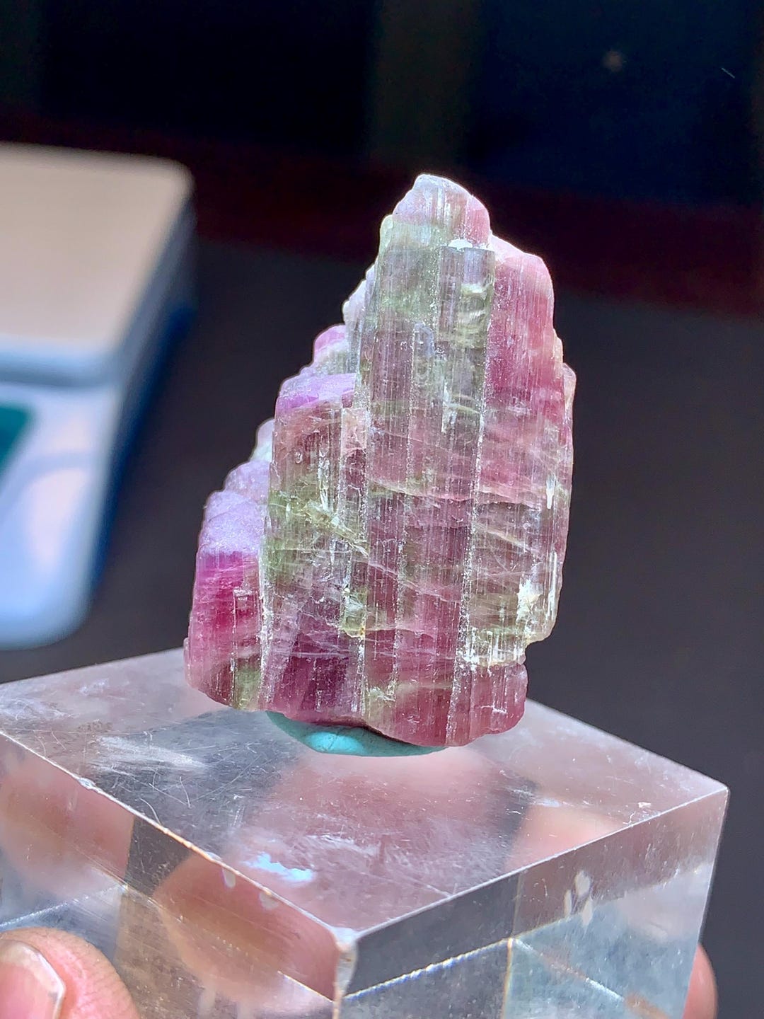 ウォーターメロントルマリン結晶コレクショングレード標本、バイカラー