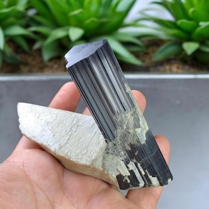 Svart turmalin glänsande kristall på fältspat stort exemplar, Schorl på matris, Samlingsklass turmalin, Grossistkristaller, Jubileum