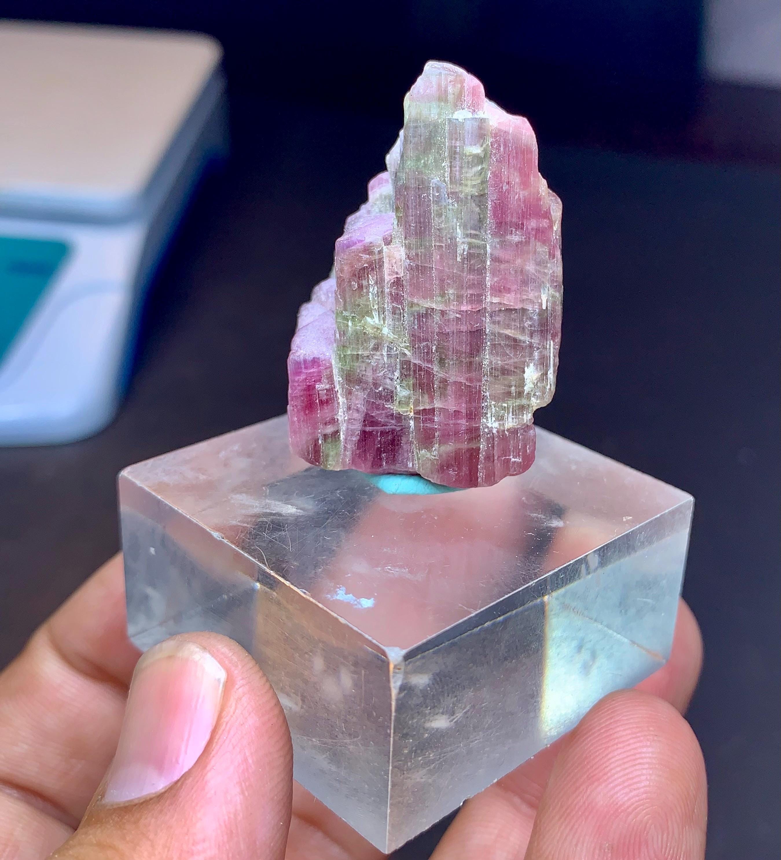 ウォーターメロントルマリン結晶コレクショングレード標本、バイカラー