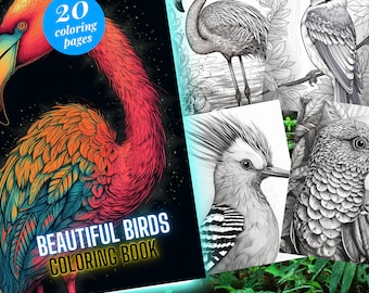 Bird Coloring Pages: Beautiful Birds Adult Coloring Book | 20 Digital Coloring Pages (Printable, PDF Download)