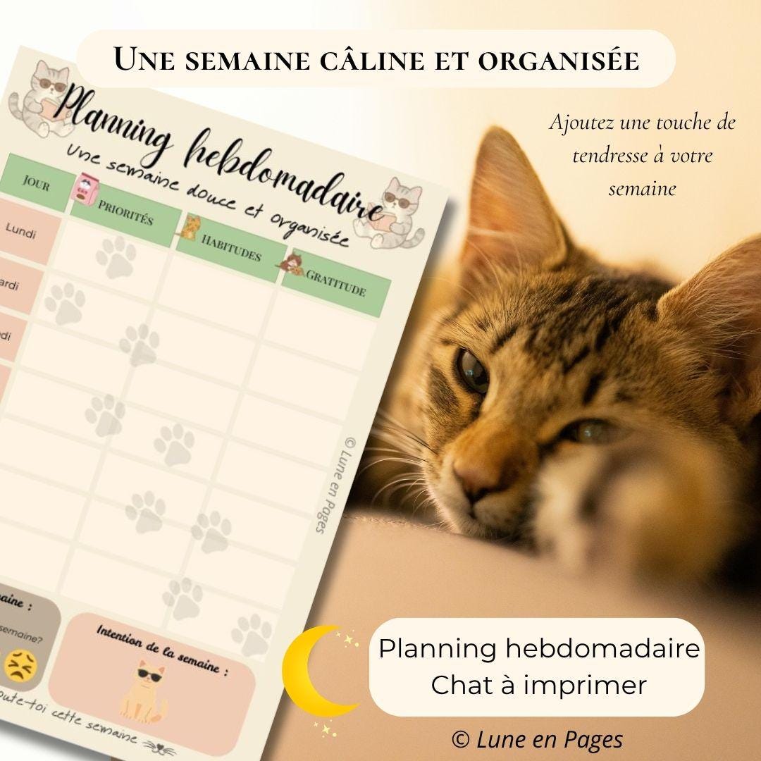 Printable Weekly Planner for Cats – A4 PDF Weekly Planner – Priorities ...