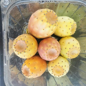 Può includere: Un contenitore di plastica trasparente contenente sei fichi d'India. I frutti sono di forma ovale con una buccia liscia che sfuma dal giallo all'arancione e al rosso rosato, caratterizzati da piccoli punti marrone scuro ben distribuiti.