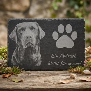 Personalisierte Tier-Gedenktafel aus Schiefer mit Fotogravur für Hund oder Katze oder jeden anderen Fellfreund, wetterfest, 30 x 20 cm