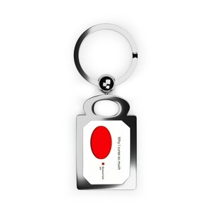 Rectangle Photo Keyring: Reasons Why I Curse