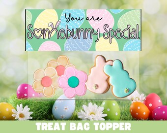 May include: A treat bag topper with a pastel pink, blue, and yellow Easter egg design. The topper has the text "You are somebunny special" and features a variety of pastel-colored cookies, including flowers and bunnies.