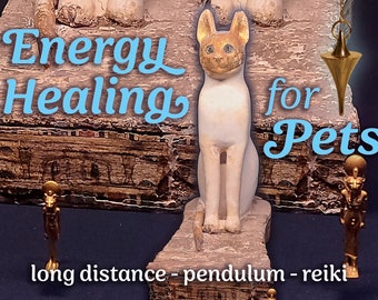 Pet Energy Healing - Long Distance