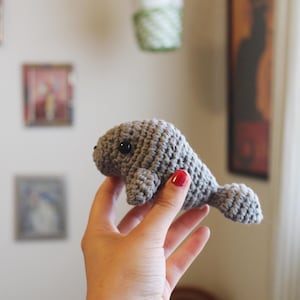 Murphy the Mini Manatee Amigurumi, Crochet Manatee Plushie