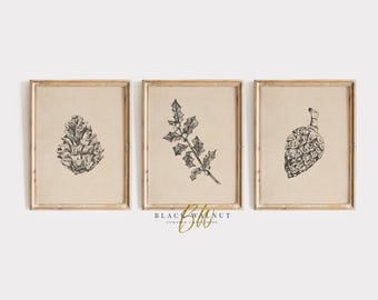 Winter Botanisches Set von 3 Drucken, Neutrale Weihnachtswandkunst, minimalistische Skizzen Set, druckbare Kunst, Tannenzapfen Zeichnungen, digitaler Download