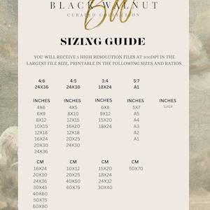 May include: A sizing guide for Black Walnut curated collection digital downloads. The guide shows five different sizes and aspect ratios for digital prints, in both inches and centimeters. The largest size is 24 inches by 36 inches, or 60 centimeters by 90 centimeters.