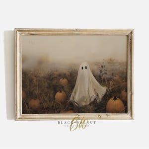 以下が含まれることがあります： ハロウィーンのシーンを描いた額入りのプリント。黒い目の白い幽霊が、カボチャと長い草の野原に立っています。このアートワークは、ソフトで落ち着いた色使いと「BLACK WALNUT CURATED COLLECTION」の文字が特徴のヴィンテージな雰囲気です。
