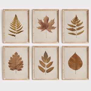 Vintage Herbst Blatt Print Set, Herbst Botanische Wand Kunst Set, druckbare Wandkunst, neutrales rustikales Beige Dekor, Ahornblatt Farn Digitaldruck