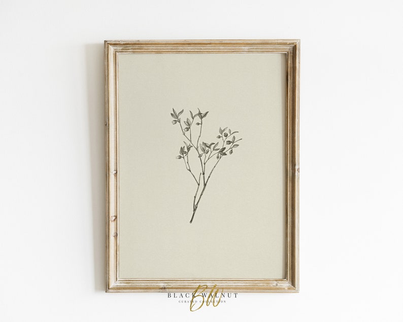 May include: A black and white line drawing of a branch with leaves and berries in a light brown frame.