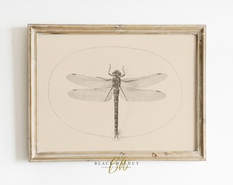 Dragonfly Vintage Sketch, Antique Drawing, Printable Wall Art, Farmhouse Decor, French Country Decor, Neutral Wall Art, Horizontal Print