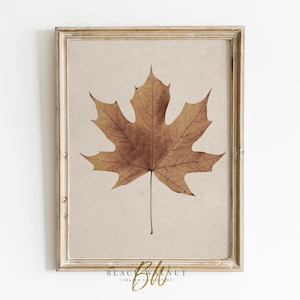 Vintage Fall Leaf Printable Wall Art, Neutral Rustic Autumn Print, Halloween Decor, Maple Leaf Digital Print, Minimalist Downloadable Art