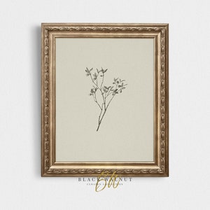 May include: A black and white botanical illustration of a small branch with leaves and berries. The illustration is framed in a gold frame with a black and white label that reads "BLACK WALNUT CURATED COLLECTION".