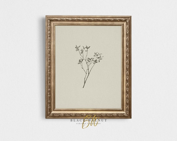 PRINTABLE Botanical Sketch, Vintage Minimal Drawing, Antique Leaf Sketch, Digital Vintage Line Art, French Country Farmhouse Decor