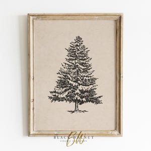 Winter Tree Sketch, Neutral Wall Art, Christmas Modern Minimalist Printable Art, Rustic Farmhouse Decor, Digital Download Christmas Tree Art