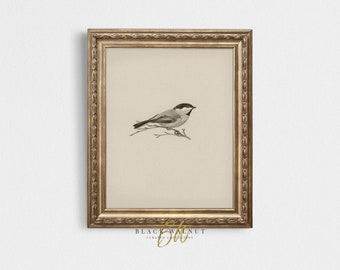 Vintage Bird Sketch Printable Art, French County Farmhouse, Antique Bird Drawing, Minimal Vintage Neutral Tones, Printable Wall Art Prints