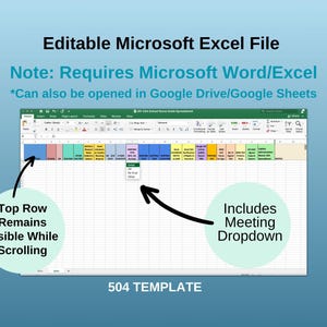 School Nurse Planner: IEP & 504 Tracking Spreadsheet (Editable, Digital Download) image 4