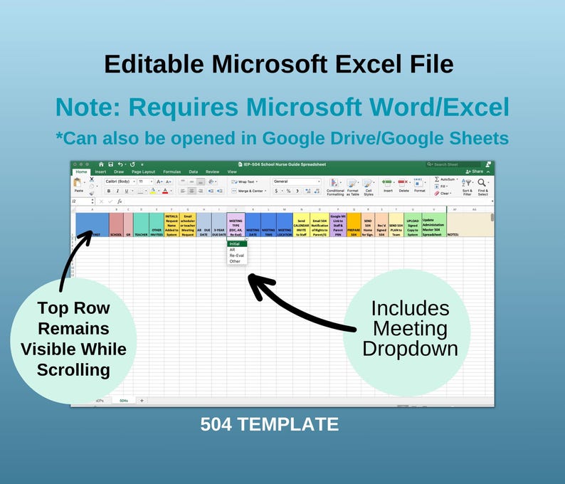 School Nurse Planner: IEP & 504 Tracking Spreadsheet (Editable, Digital Download) image 4