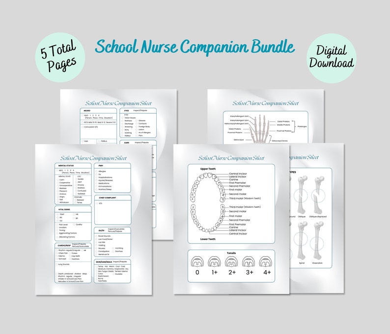 School Nurse Note Bundle School Nurse Anatomy Printable Art Etsy