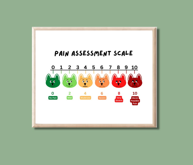 Puppy Pain Scale Printable Poster Funny Pain Chart Pediatric - Etsy