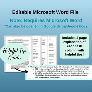 School Nurse Planner: IEP & 504 Tracking Spreadsheet (Editable, Digital Download) image 5