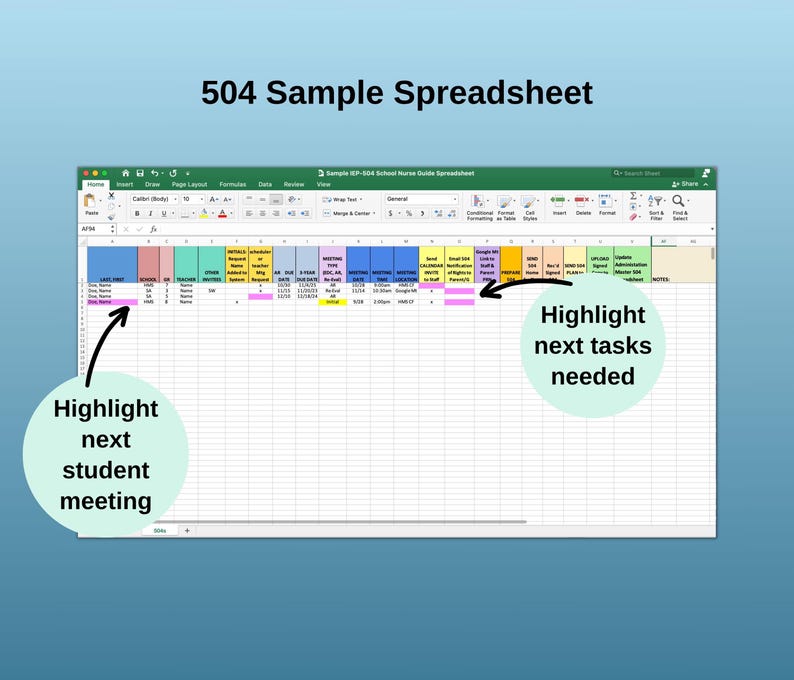 School Nurse Planner: IEP & 504 Tracking Spreadsheet (Editable, Digital Download) image 7