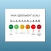 Pain Scale Assessment Poster, Hospital Pain Assessment Chart, Nurse ...