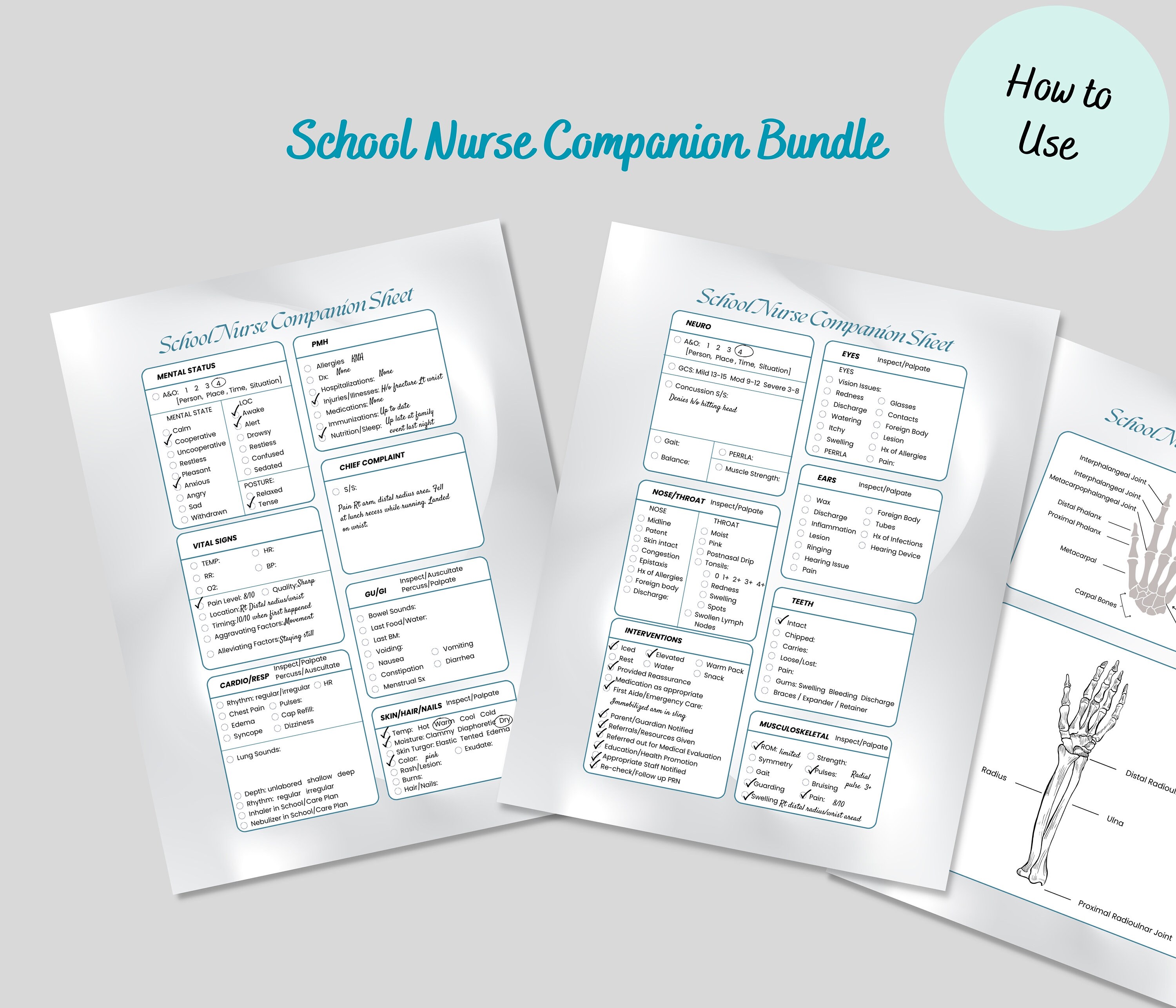 School Nurse Note Bundle School Nurse Anatomy Printable Art Etsy
