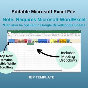 School Nurse Planner: IEP & 504 Tracking Spreadsheet (Editable, Digital Download) image 3