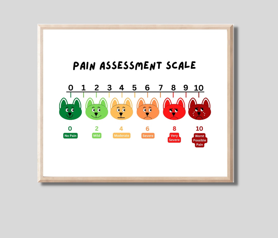 Puppy Pain Scale Printable Poster, Funny Pain Chart, Pediatric Pain Assessment Scale, Elementary