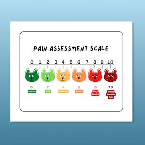 Cute Puppy Pain Scale Poster, Pain Assessment Scale, School Nurse Pain Scale, Health Office Decor, Pediatric Pain Chart, School Health Decor