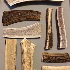Elk Antler Dog Chews